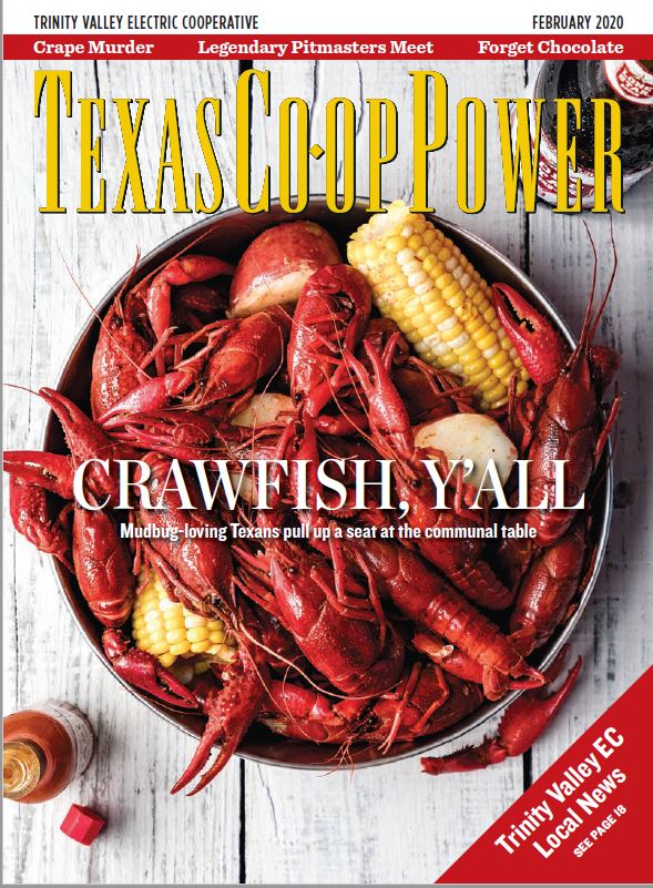 crawfish and corn in pot